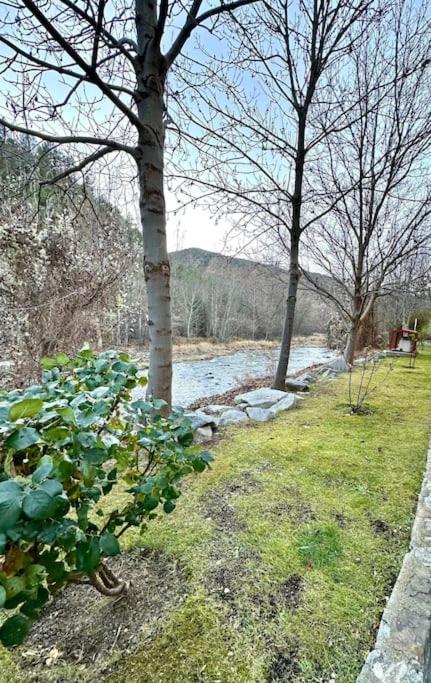 Acogedor Alojamiento En Martinet, Cerdanya, Puigcerda 외부 사진