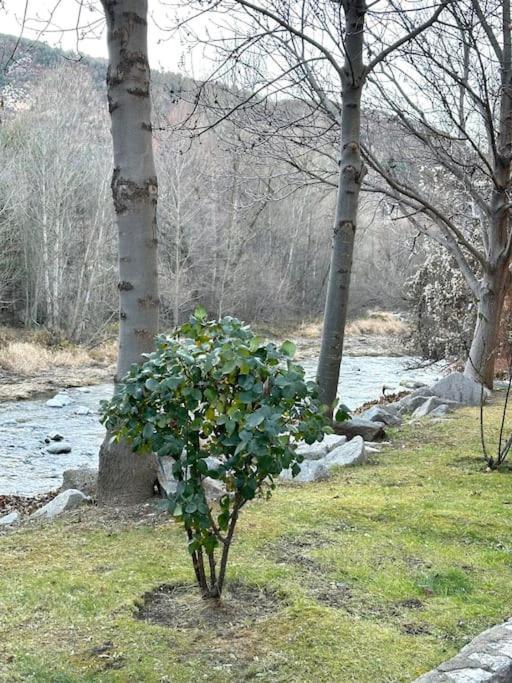 Acogedor Alojamiento En Martinet, Cerdanya, Puigcerda 외부 사진